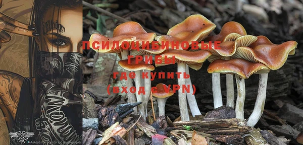 герыч Абинск