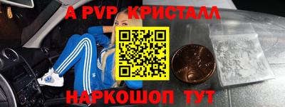ECSTASY Новодвинск