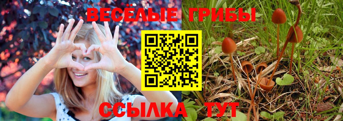 Сальск  Галлюциногенные грибы мухоморы  Вход с VPN 