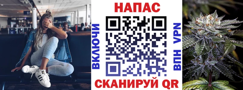 darknet какой сайт  Сальск  Каннабис сатива 